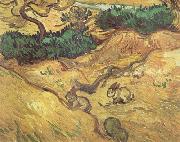 Vincent Van Gogh Field with Two Rabbits (nn04) Germany oil painting reproduction